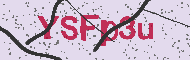 Captcha認証コード