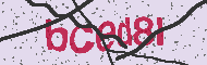 Captcha認証コード